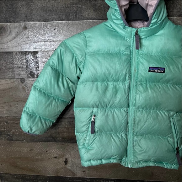 SOLD Patagonia Girls Hi Loft Down Hoody - Picture 2 of 7